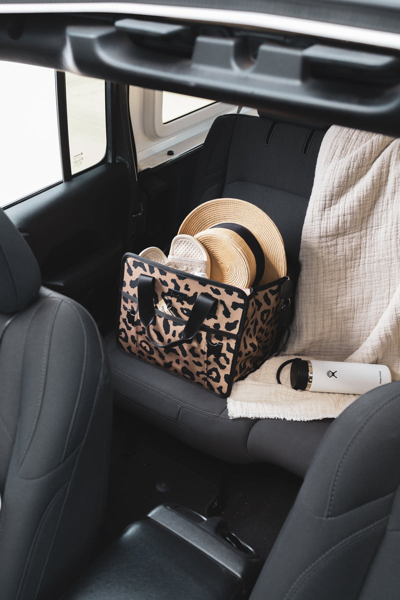 CALPAK car organizer for trunk