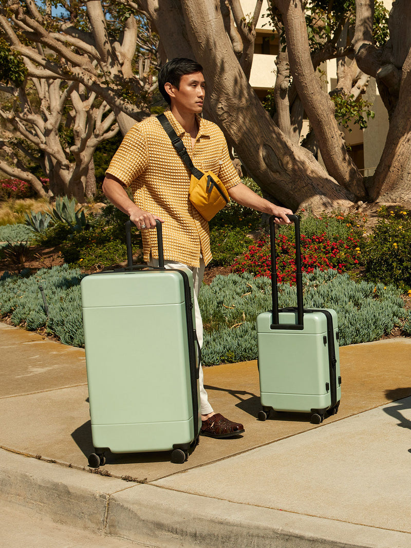 CALPAK Hue trunk suitcase in light green jade